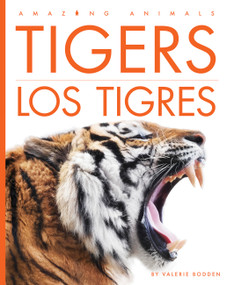 Tigers / Los tigres (Spanish Edition) by Valerie Bodden, 9798896801375