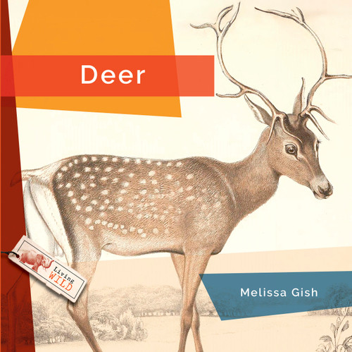 Deer - 9798896801955 by Melissa Gish, 9798896801955