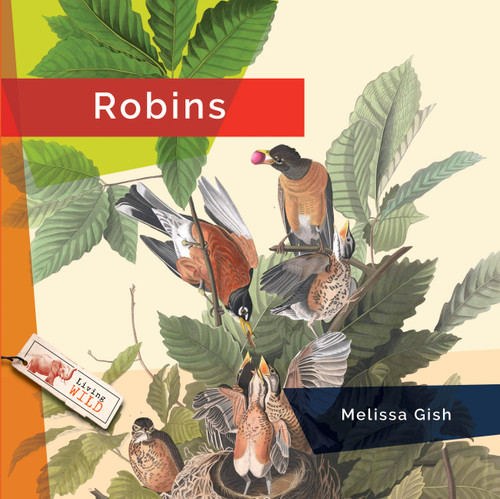Robins - 9798896801979 by Melissa Gish, 9798896801979