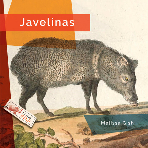 Javelinas by Melissa Gish, 9798896801993