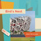 Bird's Nest by Aidan Whitcomb, 9798896802006