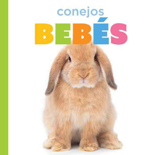 Conejos bebés (Spanish Edition) by Laura K. Murray, 9798896802358