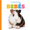Cobayas bebés (Spanish Edition) by Laura K. Murray, 9798896802365