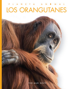 Los orangutanes (Spanish Edition) by Mari Bolte, 9798896802617