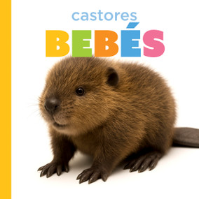 Castores bebés (Spanish Edition) by Graham Morgan, 9798896802921