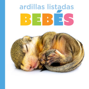Ardillas listadas bebés (Spanish Edition) by Graham Morgan, 9798896802938