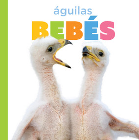 Águilas bebés (Spanish Edition) by Graham Morgan, 9798896802945