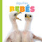 Águilas bebés (Spanish Edition) by Graham Morgan, 9798896802945