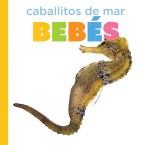 Caballitos de mar bebés (Spanish Edition) by Graham Morgan, 9798896802969