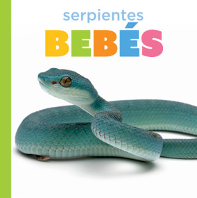 Serpientes bebés (Spanish Edition) by Graham Morgan, 9798896802976