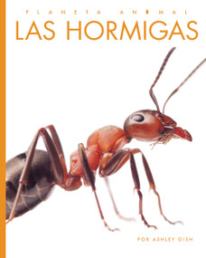 Las hormigas by Ashley Gish, 9798896803126