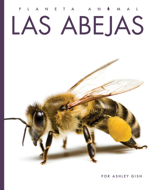 Las abejas (Spanish Edition) by Ashley Gish, 9798896803133