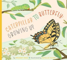Caterpillar to Butterfly: Growing Up by Bridget Heos, Natalie Vilter, 9798896851639