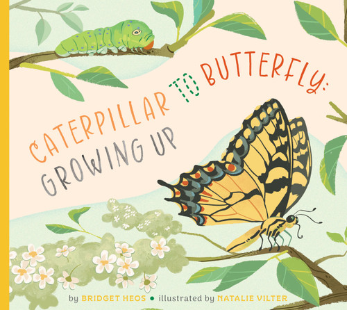Caterpillar to Butterfly: Growing Up by Bridget Heos, Natalie Vilter, 9798896851639