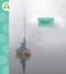 Fog - 9798896852506 by Anastasia Suen, 9798896852506