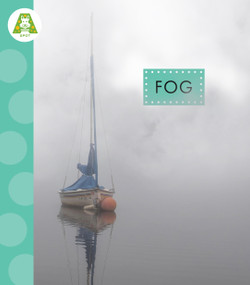 Fog - 9798896852506 by Anastasia Suen, 9798896852506