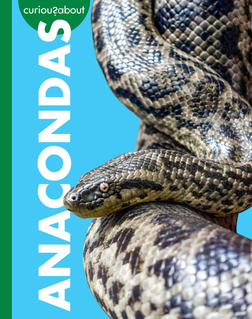 Curious about Anacondas by Rachel Grack, 9798896852698