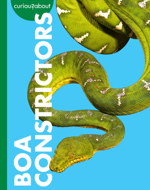 Curious about Boa Constrictors by Rachel Grack, 9798896852704
