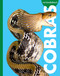 Curious about Cobras by Rachel Grack, 9798896852711