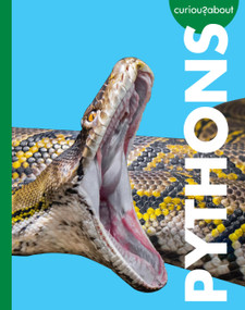 Curious about Pythons by Rachel Grack, 9798896852735