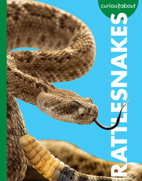 Curious about Rattlesnakes by Rachel Grack, 9798896852742