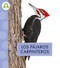 Los pájaros carpinteros (Spanish Edition) by Anastasia Suen, 9798896853732