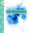 Los relámpagos (Spanish Edition) by Anastasia Suen, 9798896854869