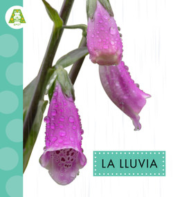La lluvia (Spanish Edition) by Anastasia Suen, 9798896854876