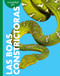 Curiosidad por las boas constrictoras (Spanish Edition) by Rachel Grack, 9798896855057