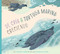 De la cría a la tortuga marina: creciendo (Spanish Edition) by Bridget Heos, Natalie Vilter, 9798896855217