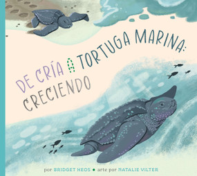 De la cría a la tortuga marina: creciendo (Spanish Edition) by Bridget Heos, Natalie Vilter, 9798896855217