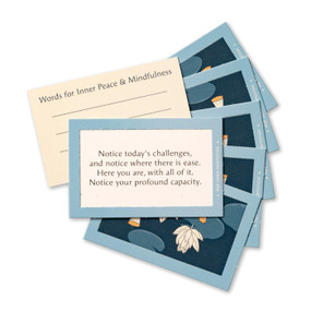 Pop Open Meditations - Card Set, 9781957891934