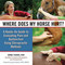Where Does My Horse Hurt? (A Hands-On Guide to Evaluating Pain and Dysfunction Using Chiropractic Methods) by Renee Tucker, 9781570764868