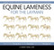 Equine Lameness for the Layman (Tools for Prompt Recognition, Accurate Assessment, and Proactive Management) by G. Robert Grisel Dvm, 9781570768347