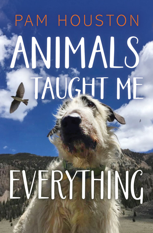 Animals Taught Me Everything by Pam Houston, 9798890920485