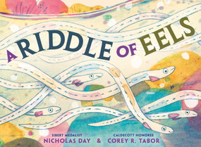 A Riddle of Eels by Nicholas Day, Corey R. Tabor, 9780593905692