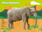 Great Migrations Collection (National Geographic Kids Readers, Level 3) (Four Books in One!) - 9798217225743 by National Geographic Kids