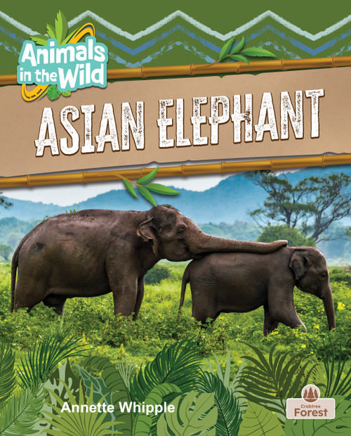Asian Elephant by Annette Whipple, 9781039874794