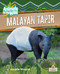 Malayan Tapir by Annette Whipple, 9781039874824