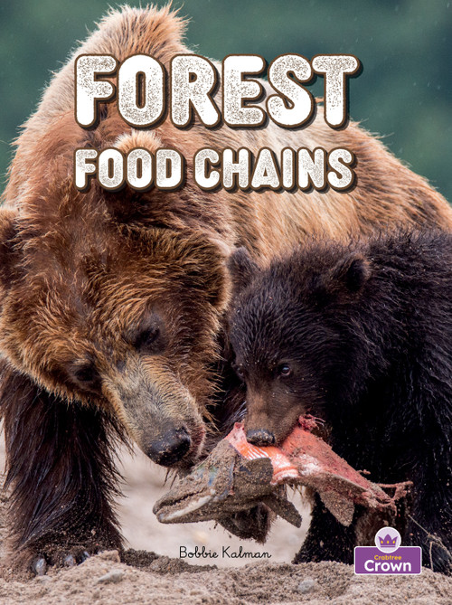 Forest Food Chains - 9781039873537 by Bobbie Kalman, Kelley MacAulay, 9781039873537