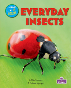 Everyday Insects - 9781039873629 by Molly Aloian, Bobbie Kalman, 9781039873629