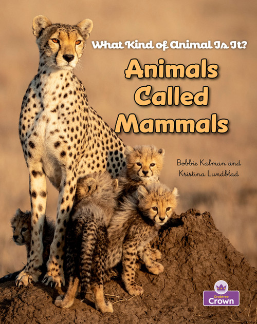 Animals Called Mammals - 9781039873728 by Rebecca Sjonger, Bobbie  Kalman, 9781039873728