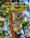Koalas and Other Marsupials - 9781039873773 by Molly Aloian, Bobbie  Kalman, 9781039873773