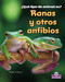 Ranas y otros anfibios (Frogs and Other Amphibians) (Spanish Edition) by Bobbie Kalman, 9781039874985