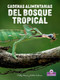Cadenas alimentarias del bosque tropical  (Rainforest Food Chains) (Spanish Edition) (Spanish Edition) - 9781039886193 by Molly Aloian, Bobbie Kalman, 9781039886193