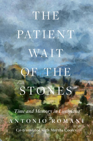 The Patient Wait of the Stones (Time and Memory in Lunigiana) by Antonio Romani, Martha Cooley, 9798992468748