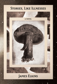 Stories, Like Illnesses by James Elkins, 9781961884915