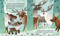 I'm a Reindeer by Mallory Loehr, Joey Chou, 9798217232246