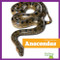 Anacondas - 9798896624769 by Adeline J. Zimmerman