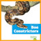 Boa Constrictors - 9798896624820 by Charlie W. Sterling